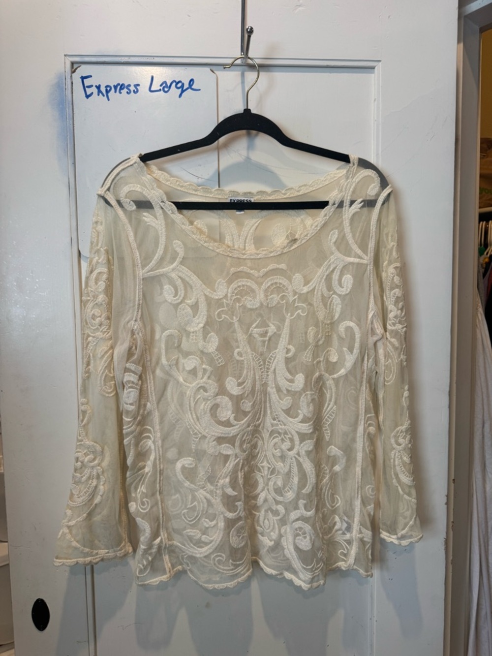 Express Sheer Embroidered Lace Blouse - Ivory